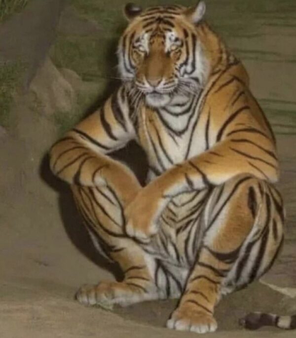 Tony the Tiger