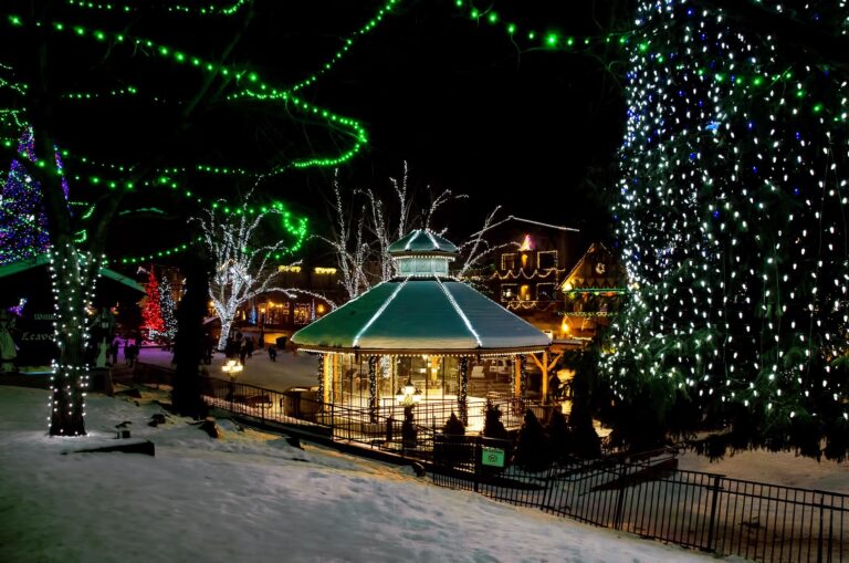 8922408 holiday in the village 3518938 1920 768x509